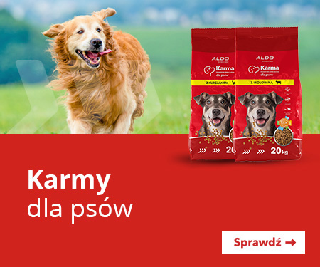 Karma dla psów 06.2023