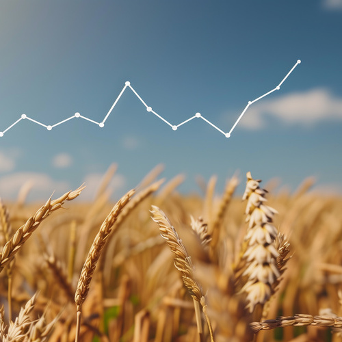 Rolnicy apelują o aktualizację cen interwencyjnych