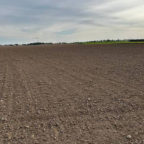 Aktualne ceny dzierżawy ziemi rolniczej w 2024 roku