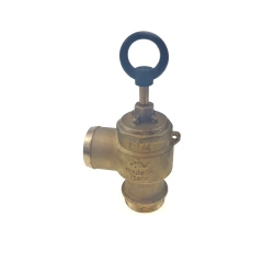 Zawór bezpieczeństwa 1 1/4" BSP Riv