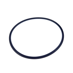 Oring Claas 7700703885