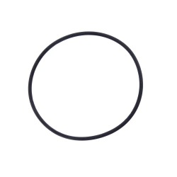 Oring Claas 6005019183