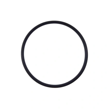 Oring Claas 6005024095