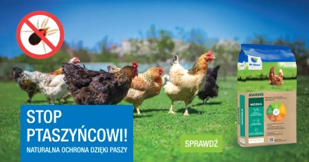 Pasza dla kur niosek: Nioska troska skuteczna przeciw ptaszyńcowi sypka De Heus 25kg