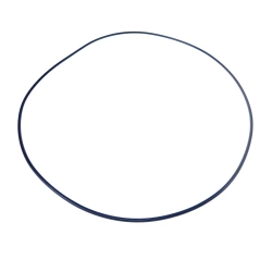 Pierścień Claas 6005018609