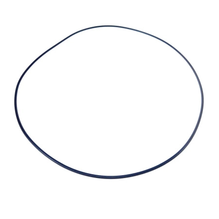 Pierścień Claas 6005018609