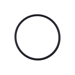 Oring Claas 6005024095